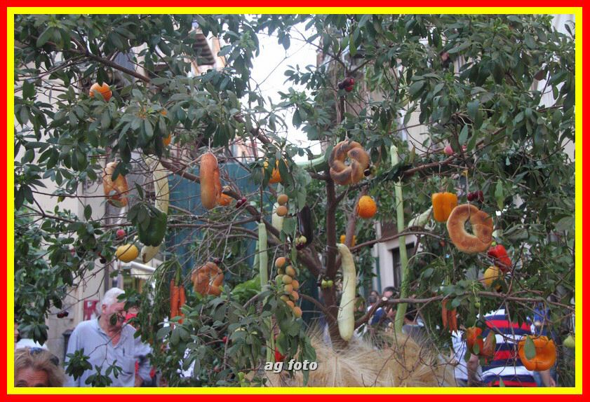 170617 Fruottola 080_tn.jpg